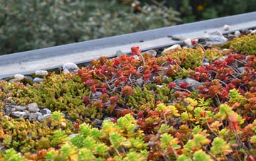 the cost of Hob Hill green roof installation